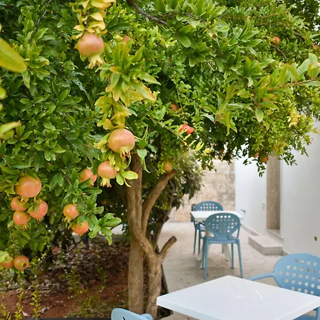 Ammarea Bed and Breakfast Torre San Giovanni Ugento