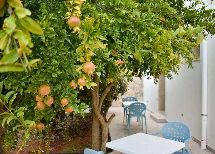 Ammarea Bed & Breakfast Torre San Giovanni Ugento